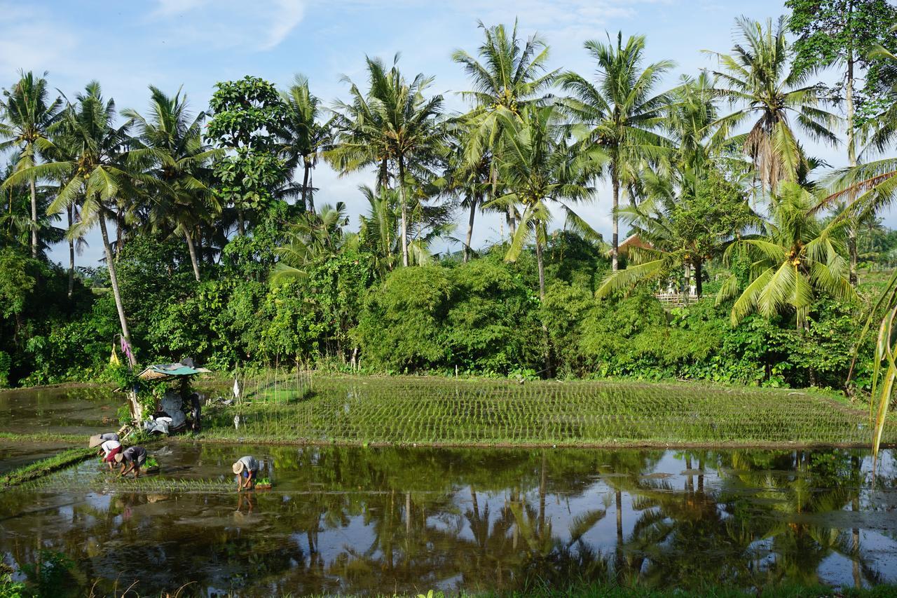 Hotel Puri Kobot Ubud Exterior foto